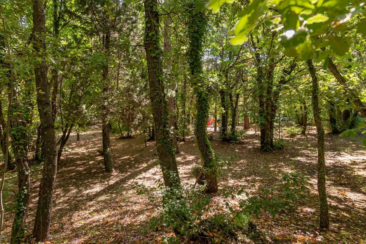 Villa Ln Etna House-Villa Ad Uso Esclusivo Pedara