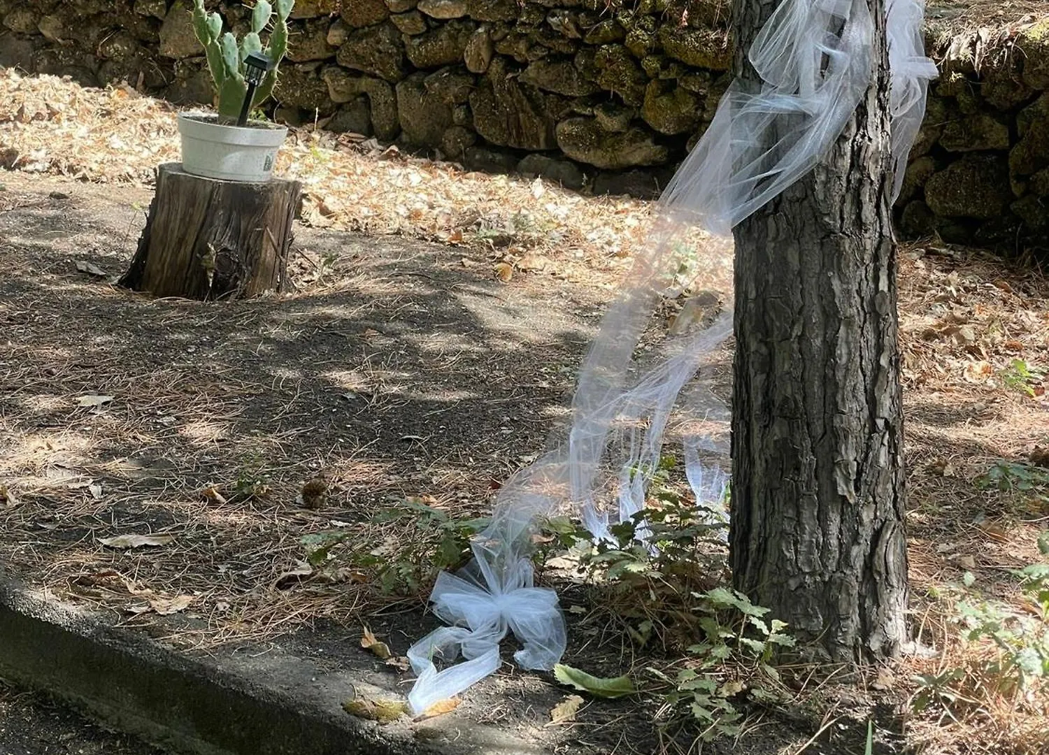 Ln Etna House-Villa Ad Uso Esclusivo Pedara 0*,  Italy